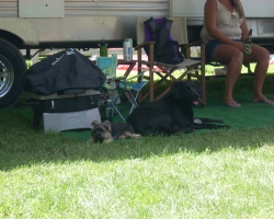 Resting