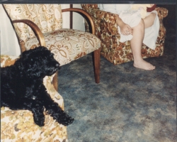 Barb.'s puppy