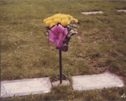 cemetary
