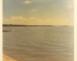 p329