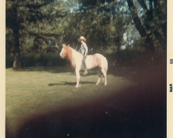 p362