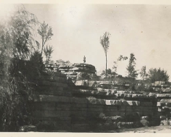 p38